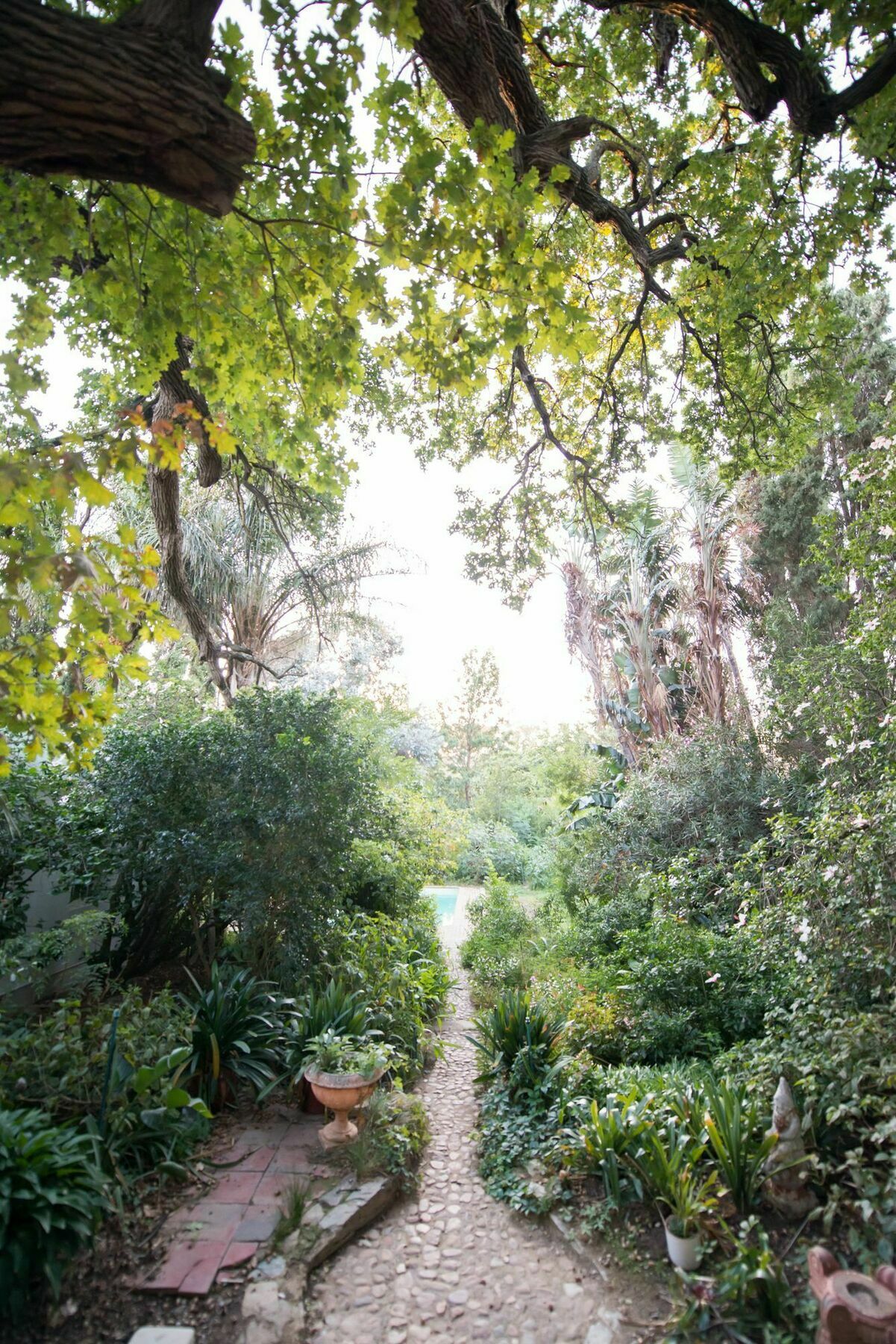 Tulbagh Country Guest House - Cape Dutch Quarters Luaran gambar